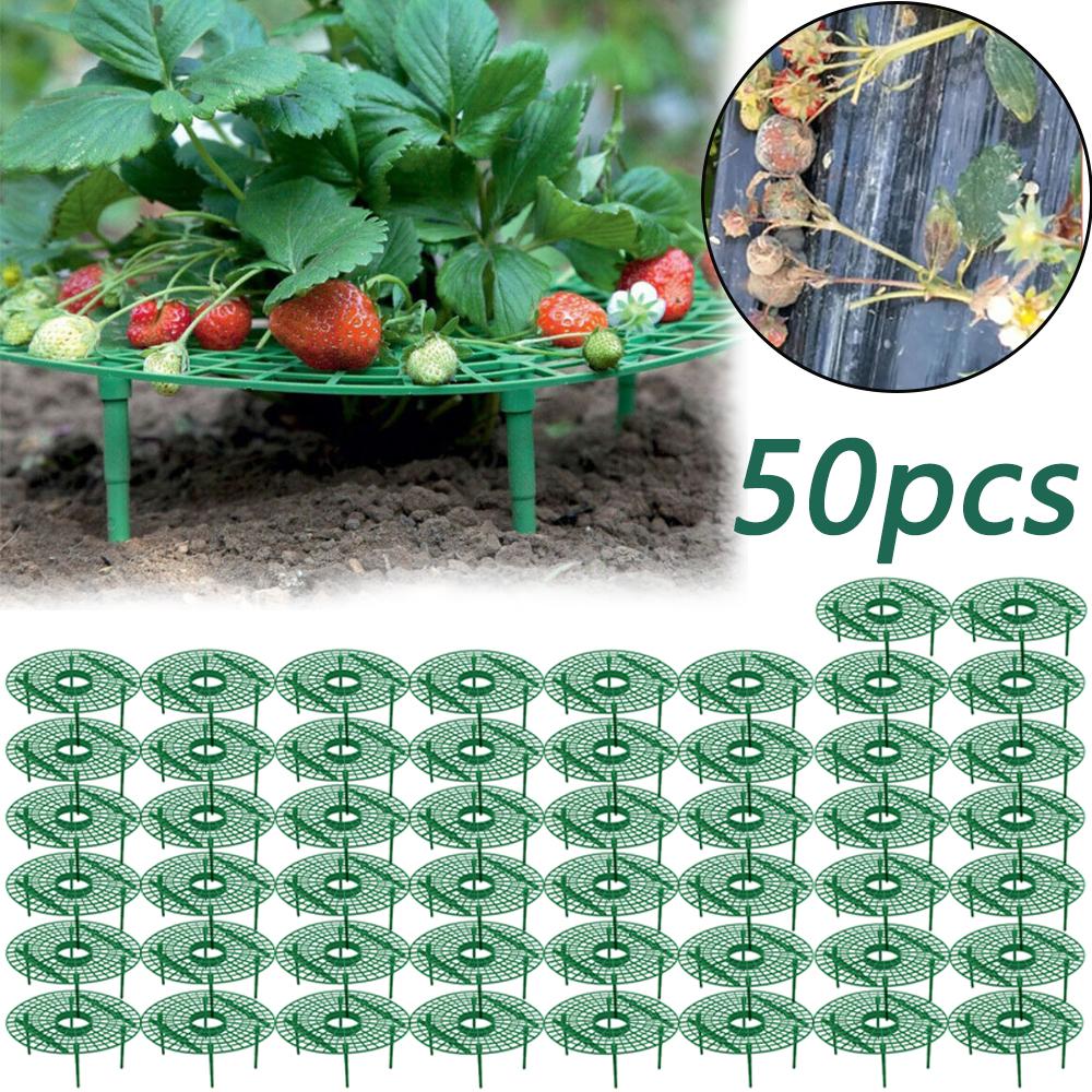 10-50 Pieces Strawberry Plant Stand - With 4 Sturdy Legs Strawberry Stand - Strawberry Planting Stand, Keep Strawberries Clean