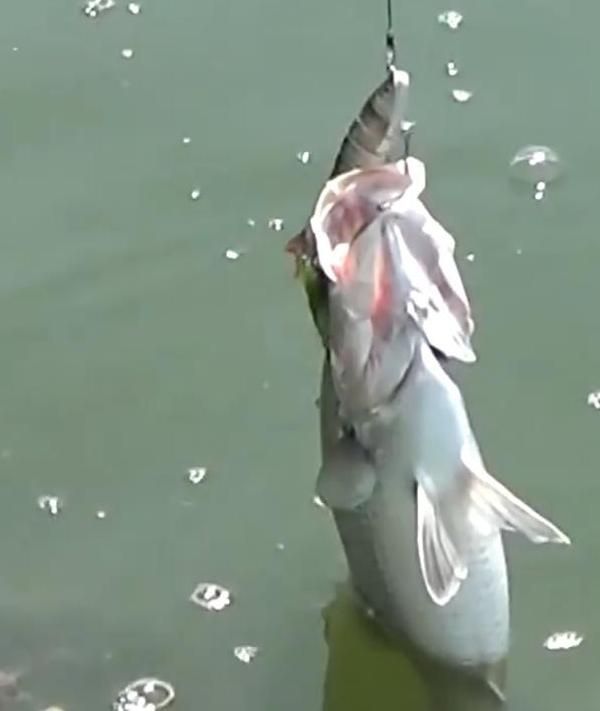 3pcs In One Pack 8-Segments Fishing Lure Bionic Fake Bait Set Long Casting Slow Sinking 13.5cm 20g Realistic Hard Bait