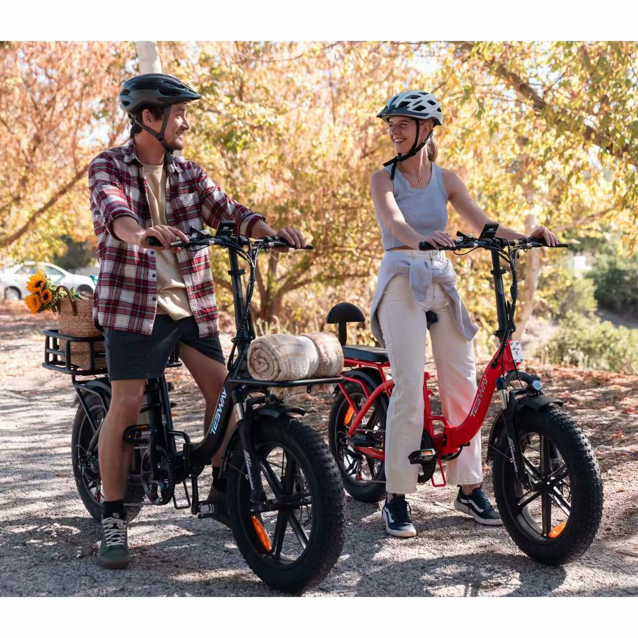 Hedatx S5 48V 250W 20Ah 20*4.0 20 inch aluminum alloy folding frame Magnesium alloy twelve blade integrated wheel