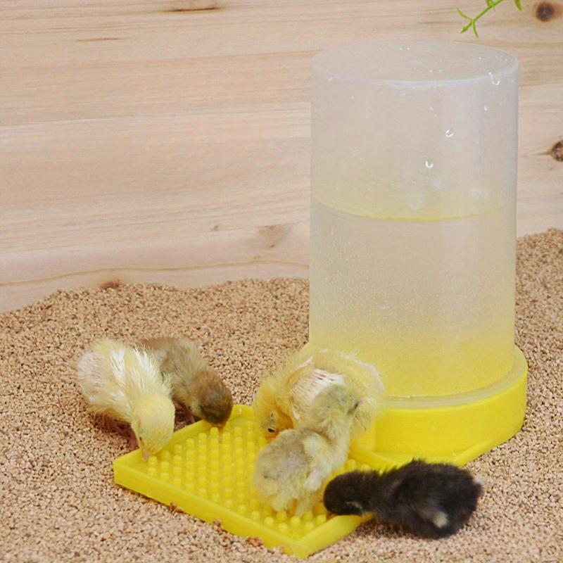 1 abreuvoir pour poulet, système d'alimentation automatique empêchant la noyade, fournit de l'eau fraîche pour élever des poussins en bonne santé pour les éleveurs de poulets de basse-cour et les agriculteurs
