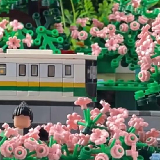 WANGE Flower Branches Building Blocks 155Pcs Small Compatible Bricks Farm Elements Accessories MOC DIY Bulk Kids Toy No.19119