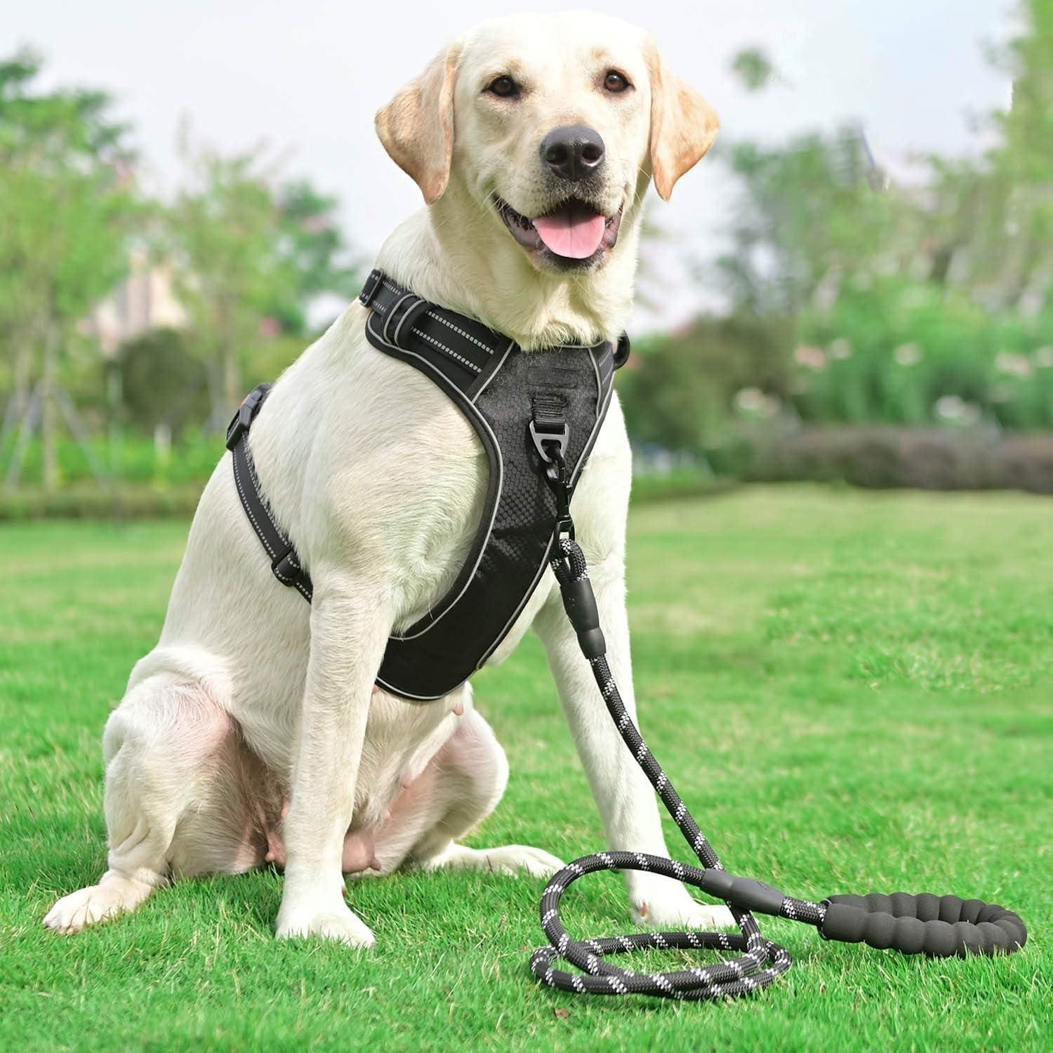 No Pull Harness with A Free Heavy Duty 5ft Leash for Medium Large Dog Adjustable Reflective Oxford Easy Control