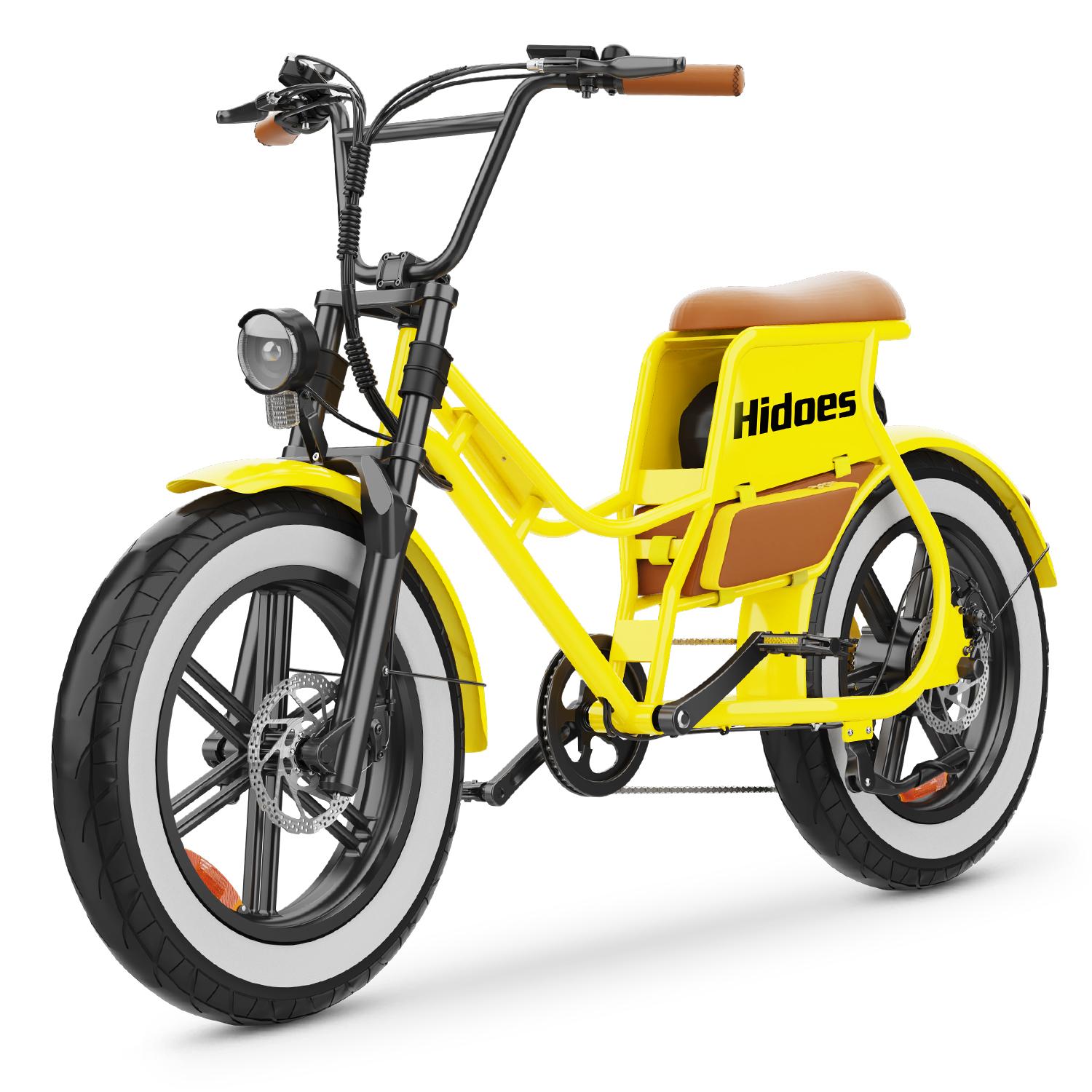 Hidoes C8 Adult Electric Bike 20" Fat Tire Step Through City EBike 700W 48V 17Ah