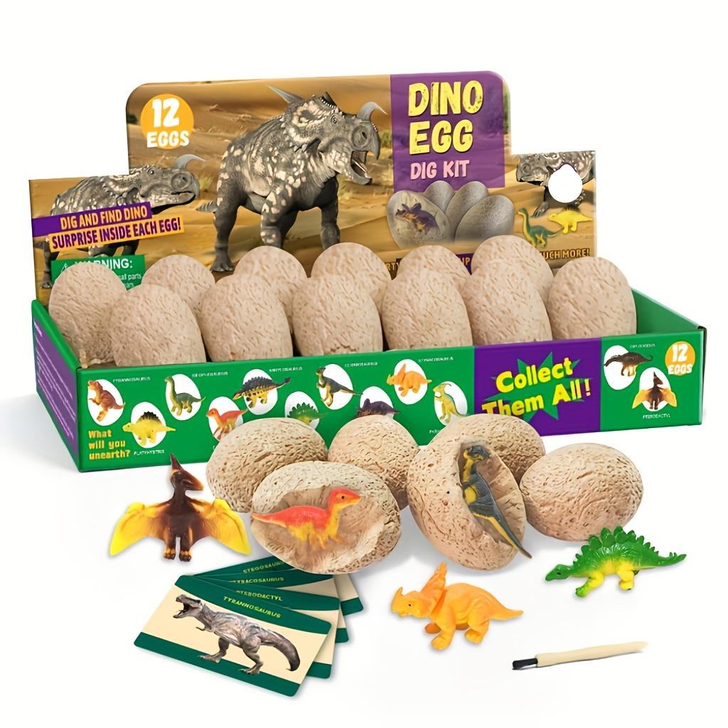 A Set of Dinosaur Fossil Excavation Eggs - 12 Unique Dinosaur Eggs,Excavate Several Unique Dinosaur Eggs, an Archaeological Dinosaur Egg Kit