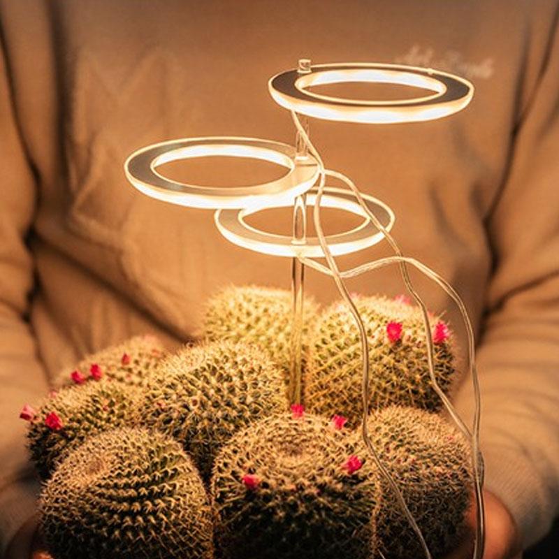 Lampe Croissance LED Phyto USB – Spectre Complet Pour Plantes Grasses, Fleurs, Intérieur, Minuterie Automatique