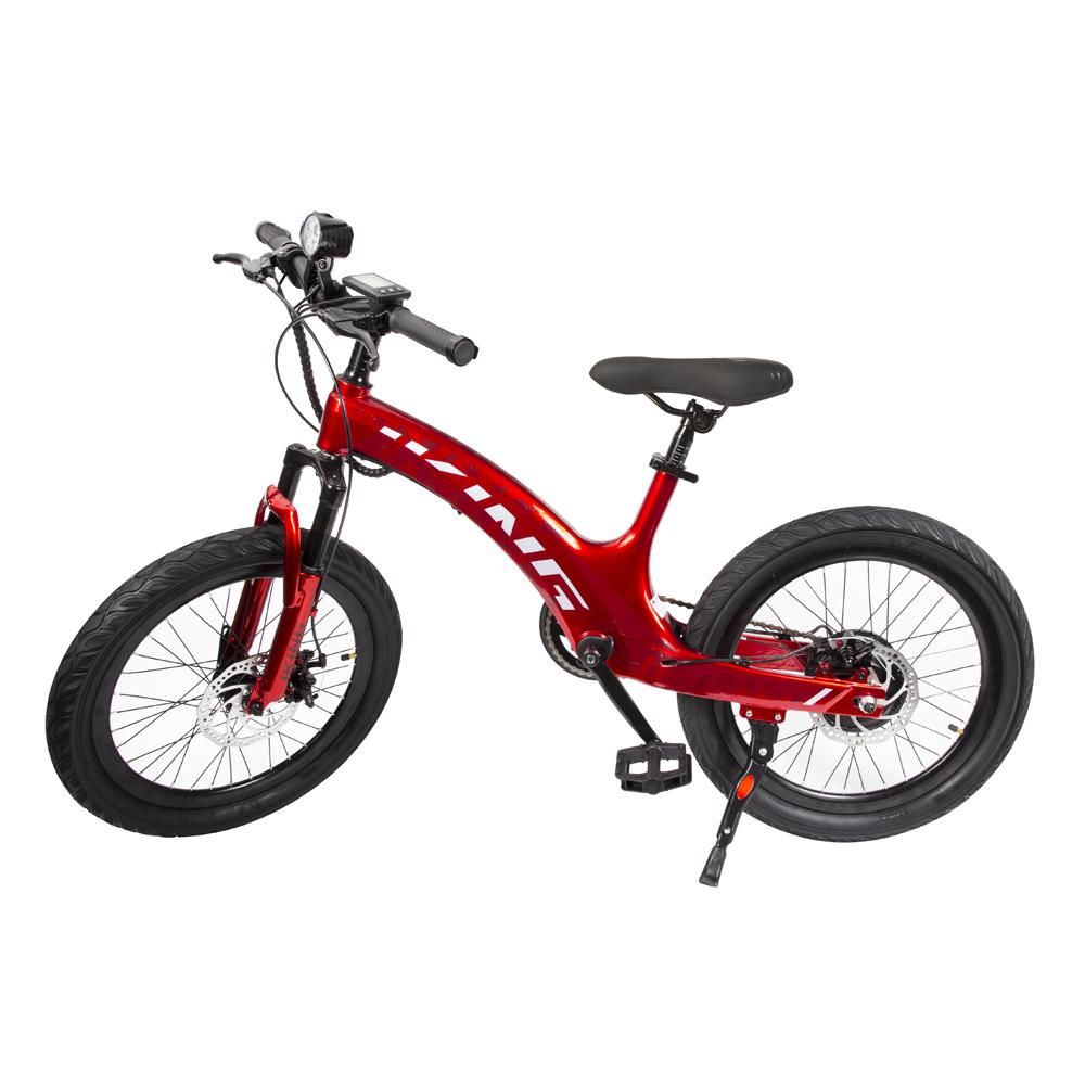 JKING C8 Electric Bike 29.4V 9AH Battery 250W Motor 20inches