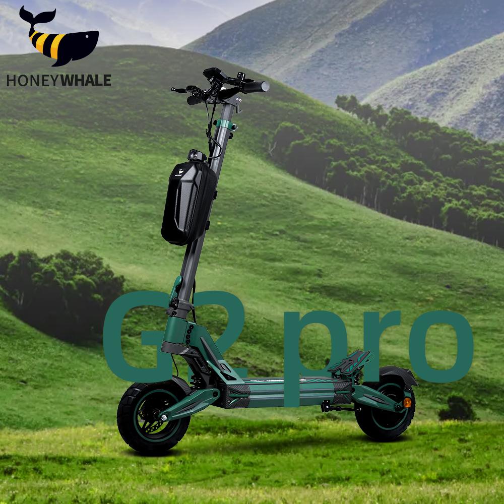 HONEYWHALE G2 Pro Electric Scooter 900W 54.6V 16Ah Battery 40km/h Max Speed 45km Range Disc Brake Double Shock Absorbing Spring