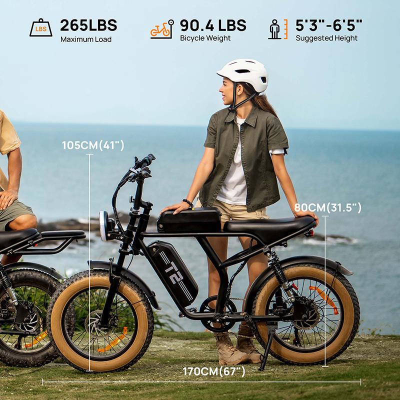 URLIFE T2 Terénní elektrické kolo 48V15.6AH Baterie 750W Motor Jízda v přírodě E-horské kolo 20 palcové tlusté pneumatiky Terénní elektrické kolo